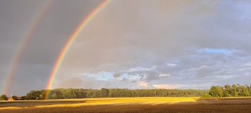 20200706_210134.jpg