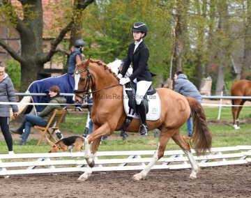 Pony-Kreismeisterschaften Wagenfeld - Samstag