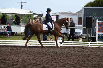 DSC_3492klein.jpg