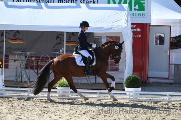 DSC_5415kleiner.jpg